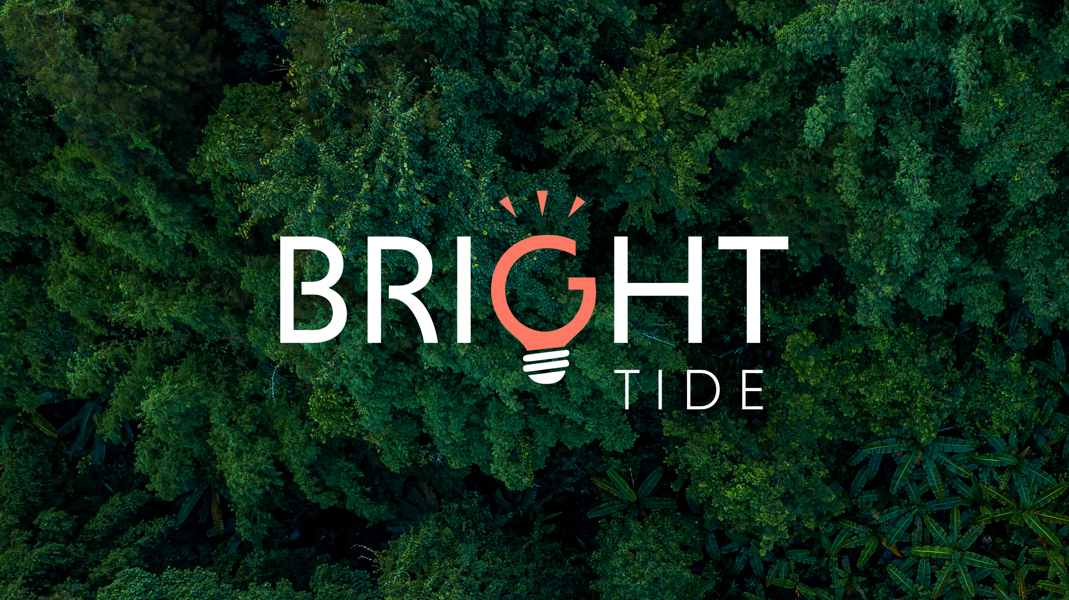 Jungle with Bright Tide Logo