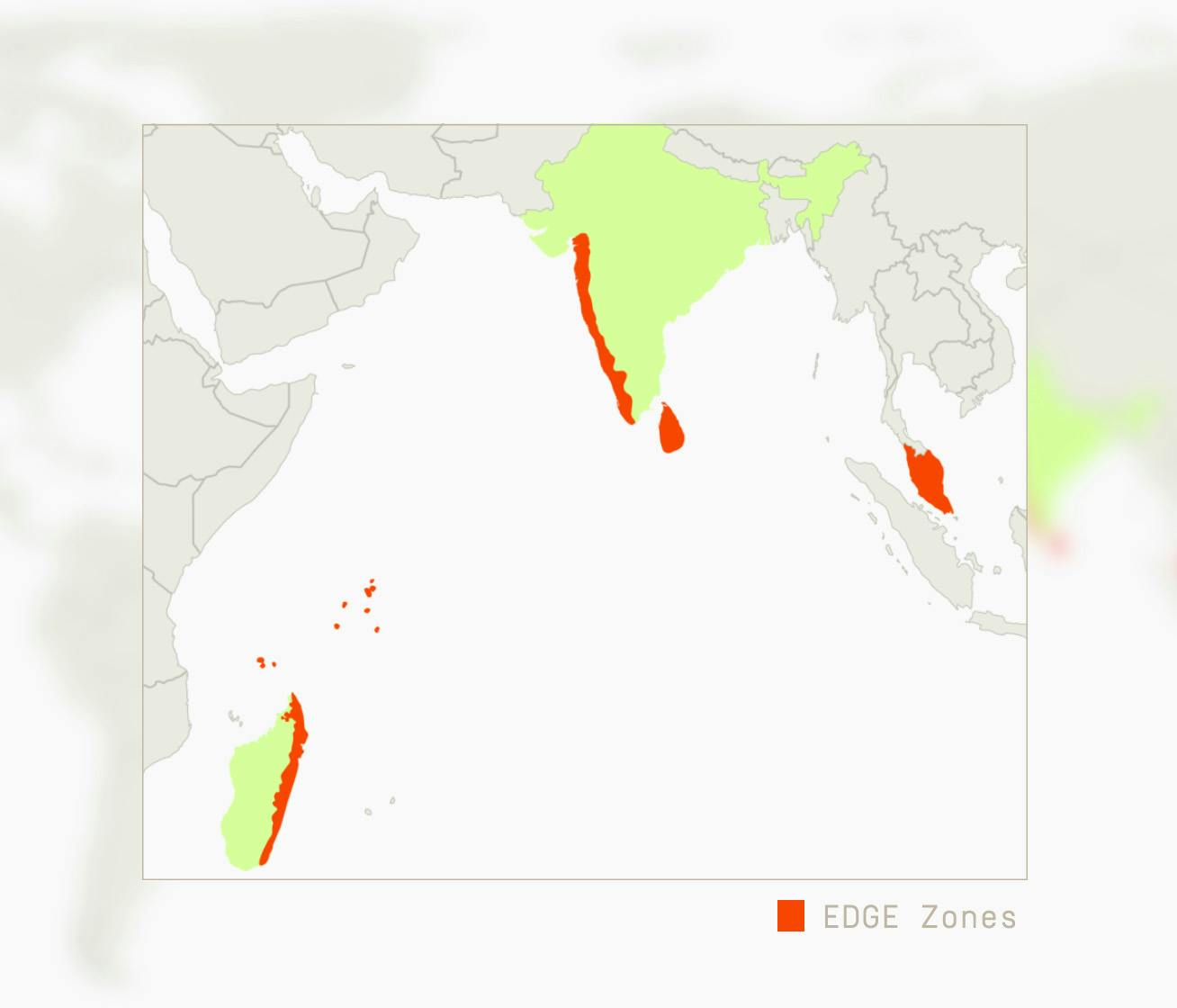 A map showing EDGE zones. Zones where Evolutionary Distinct Globally Endangered species live. 