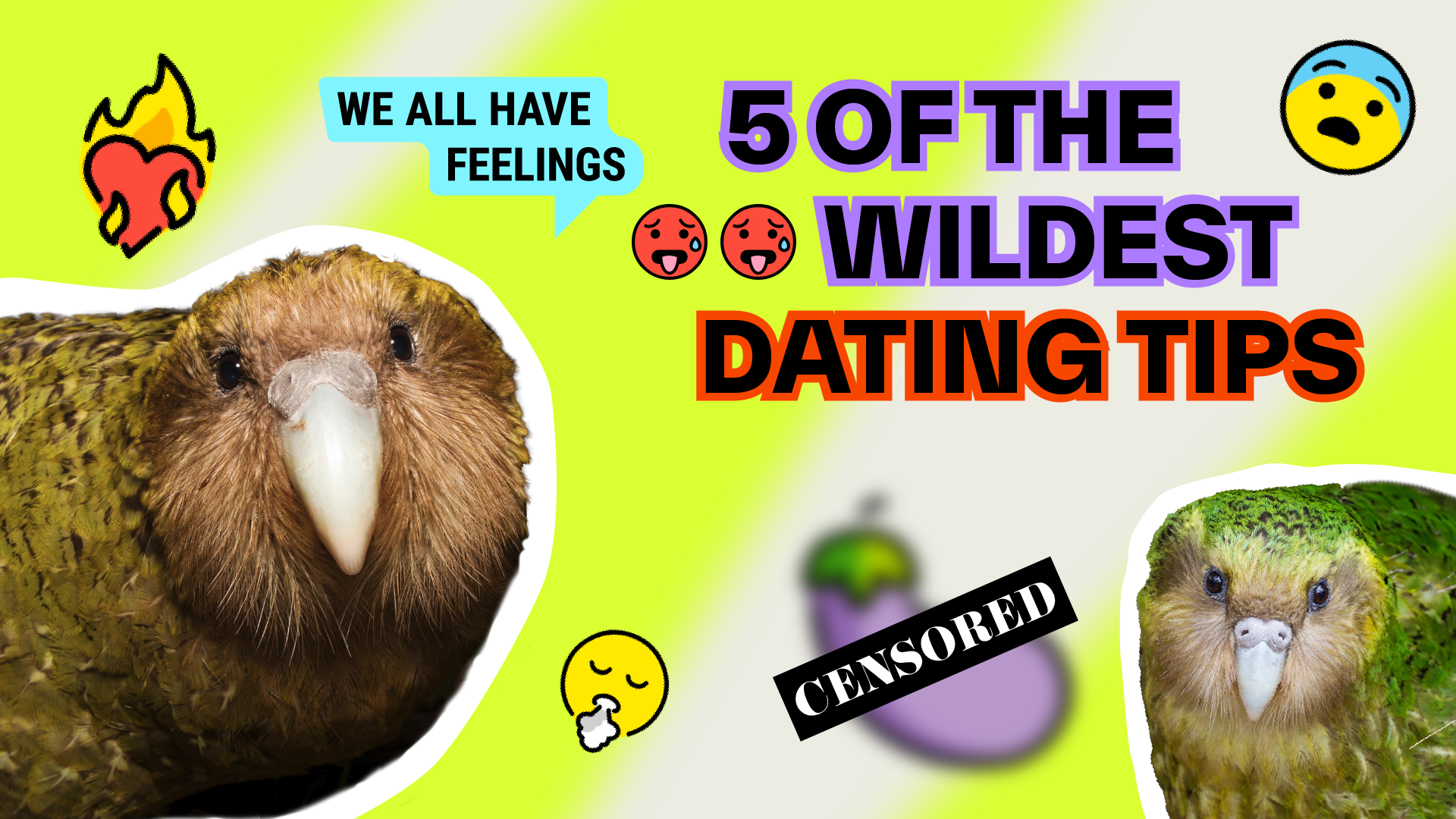 Dating Advice ft. Steve The Kakapo - Thumbnail